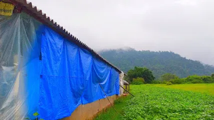 Riverside Poultry Farm