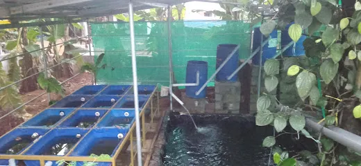 P'z Fish Farm