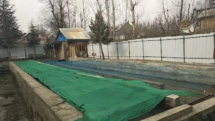 Trout Fish Farm Mohipora