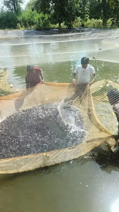 Zeh Farms (Fish Farming)