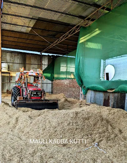 Mauli Cattle Feed