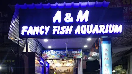 A & M Fancy Fish Aquarium