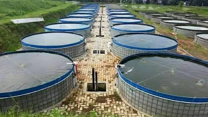 Biofloc Fish Farming Training Centre