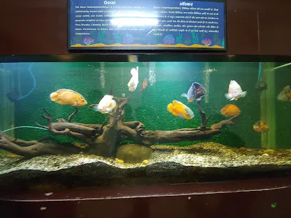 Gautam Aquarium