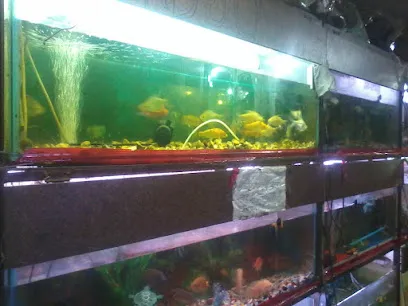 Umama Aquariums