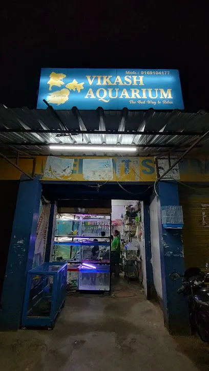 Vikash Aquarium & Pet Shop