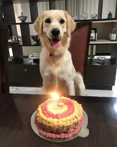 Pawfection Bakery