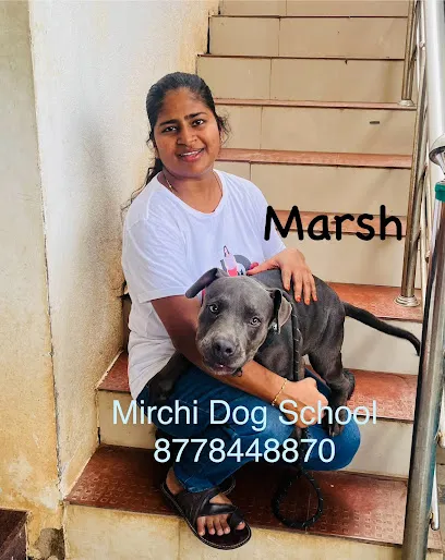 Mirchi Dog School