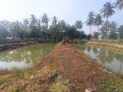 Shree Saai Ram Fish Farm