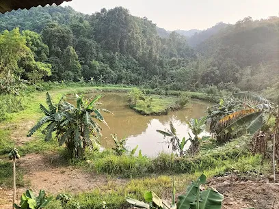 Bowl Resort, Angling Spot Ungma