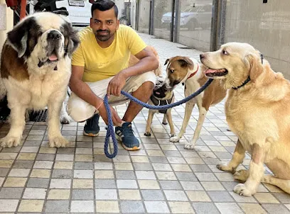 Ajay Professional Dog Walker