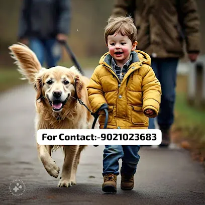 Best Dog Walker In Malad