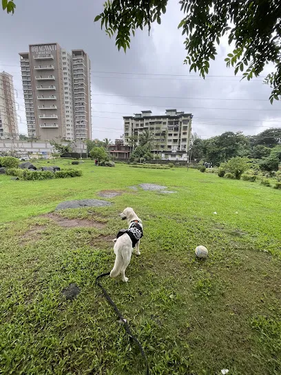 Dog's Park