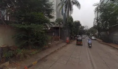 Dog Walker In Borivali