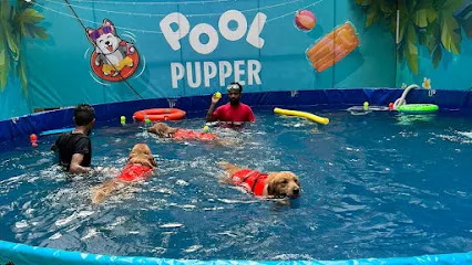 Pool Pupper Pet Park