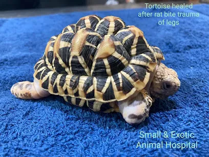 Small & Exotic Animal Hospital