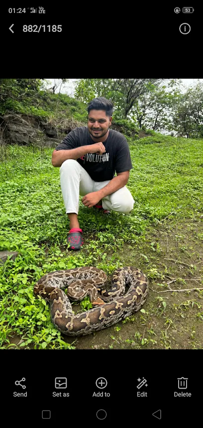 Snake Catcherrescuer