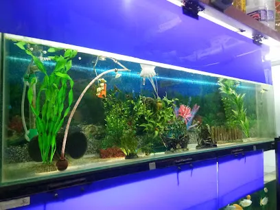 Yeoman Fish Fantaasy Aquarium & Pet Shop