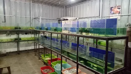 Fish World Fish Farm