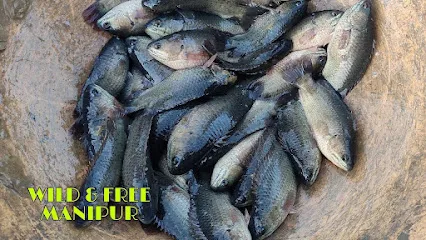 Khoimu Pisciculture