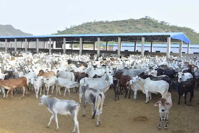 Baba Mukund Das Gaushala Nangal Choudhary Haryana