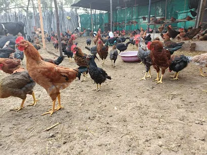 Bhujbal Gavran Poultry Farm Mokasbag Kandali