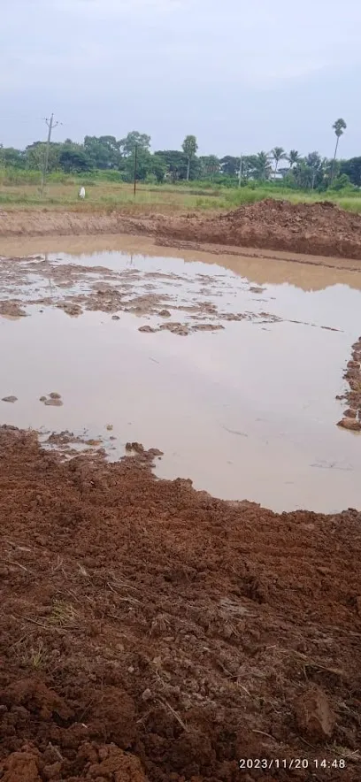 Integrated Pond