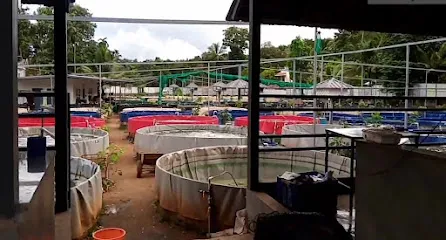 Padavans Bio Fish Farm