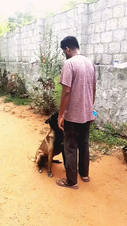 K9 Dog Training Palakkad