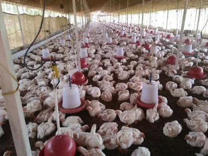 Ganesh Poultry Farm Pachamo Hariharganj Palamu Jharkhand