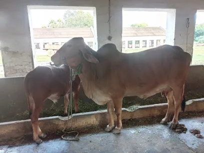 Bihar Veterinary College Farm