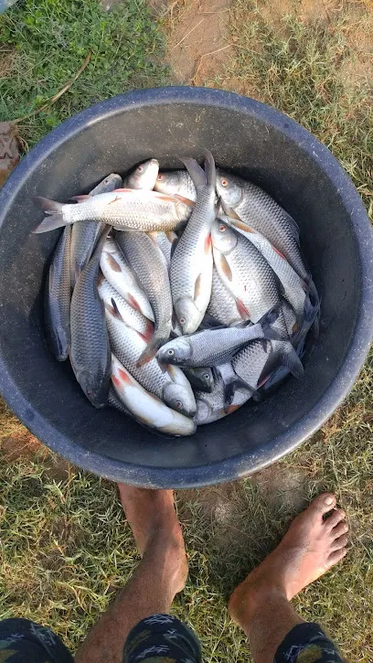 Shekhar Bandhu Fish Farming Center