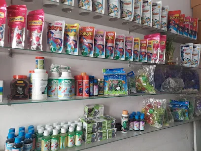 Aqua World Fish Aquarium Shop