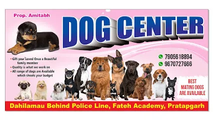 Dog Center