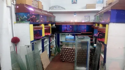 Angel Aquarium