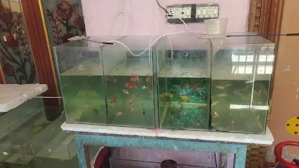 Captian Aquarium