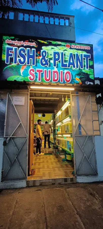 Fish & Plant Studio