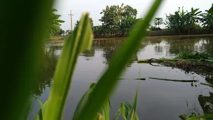 Kalai Fish Farm