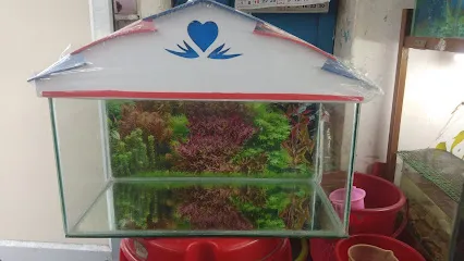 M J Aquarium