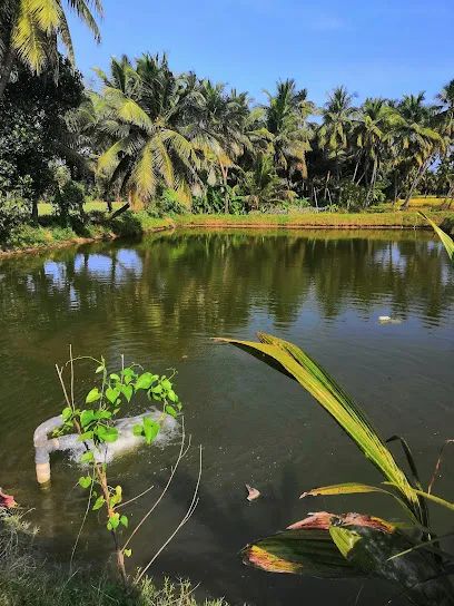 Sumith Fish Farm And Aquaculture