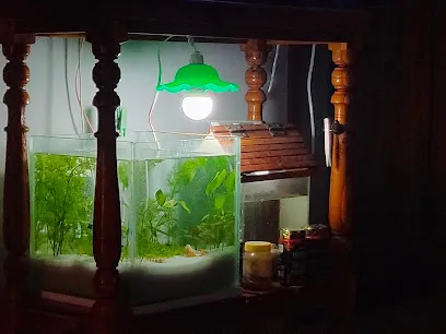 Vengadesh Aquarium