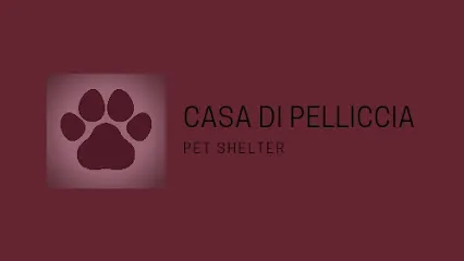 Casa Di Pelliccia