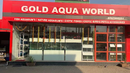 Gold Aqua World