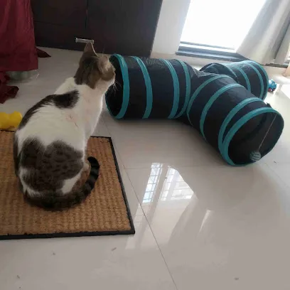 Purrrfect Stay - Cat Boarding