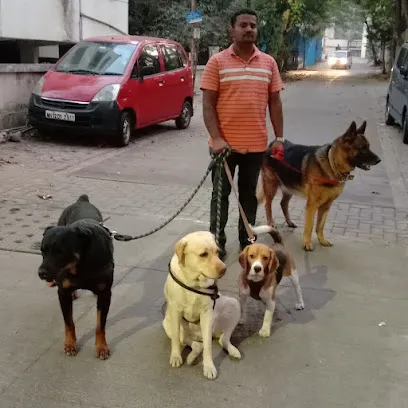 Sanket Pet's Dog Walking Service Pune