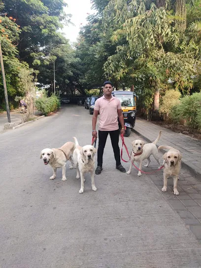 Santosh Pet's Dog Walking Sarvice Pune