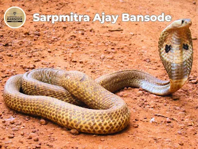 Sarpmitra Ajay Bansode