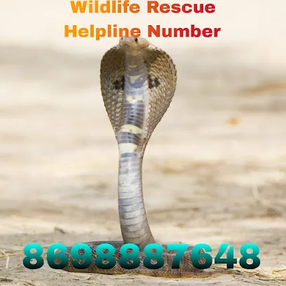 Sarpmitra Ganesh Mate | Snake Rescuer In Punel Animal Rescuer In Pune