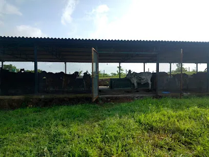 Shree Swami Samarth Shetkari Goshala , Angrewadi, Bhukum, Pune