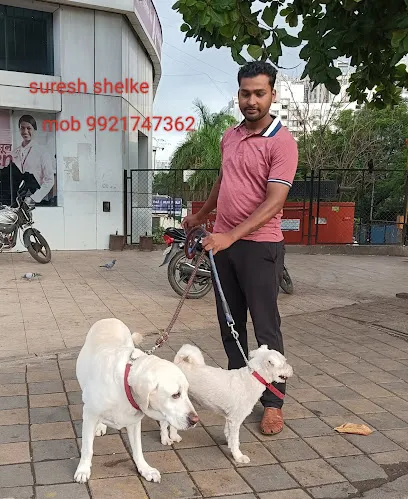 Swaraj Pet'sdog Walking & Training Service Pune